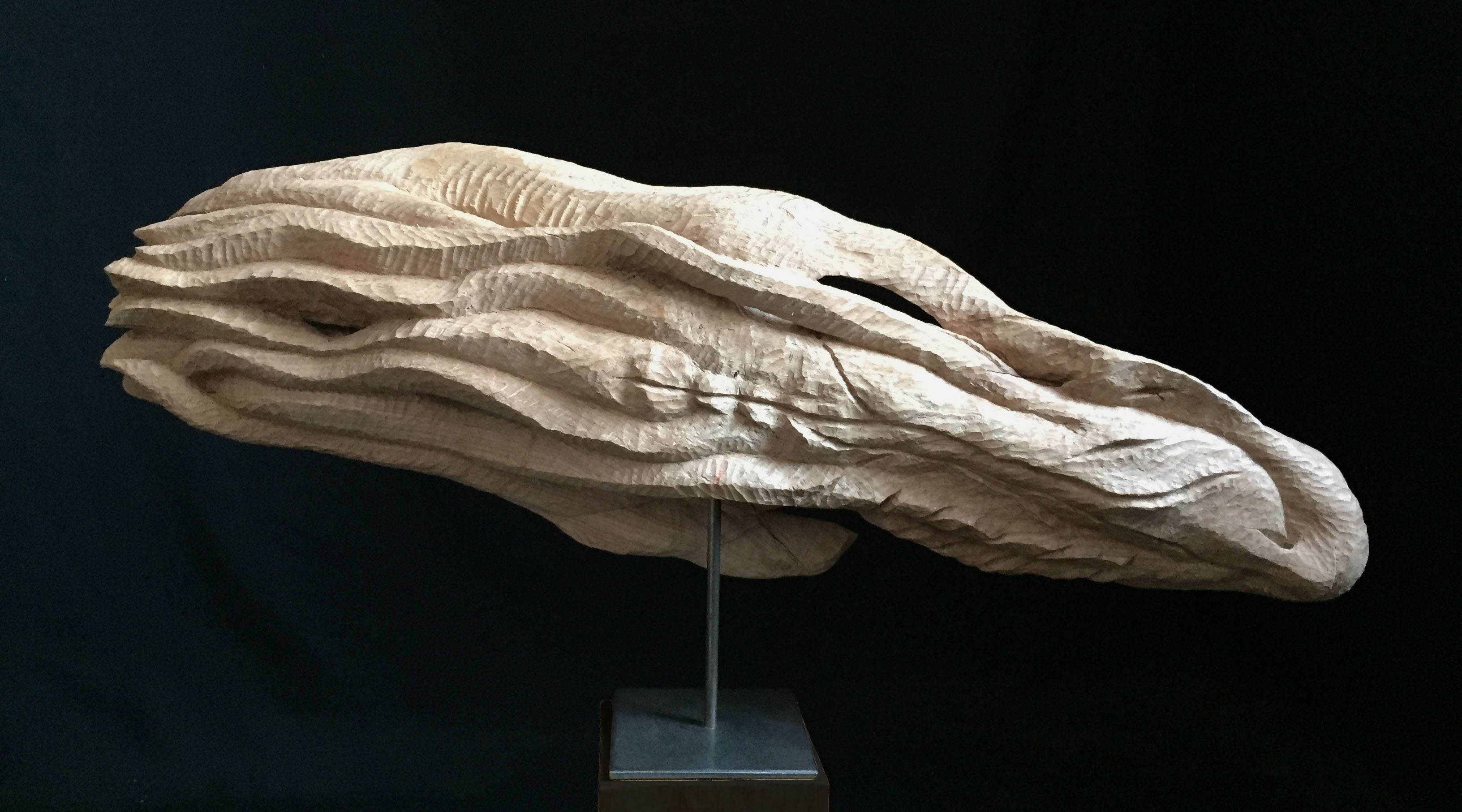 Lointain parent_copie